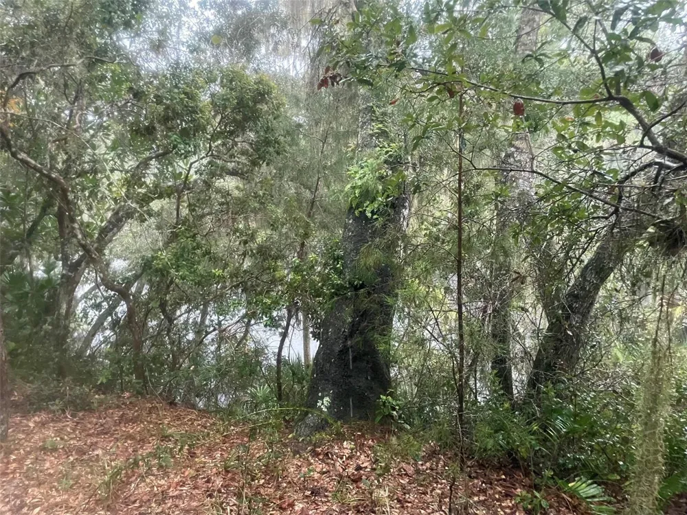 1783 TAYLOR ROAD Port Orange, FL 32128