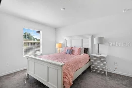 6119 SHINER STREET Land O Lakes, FL 34638