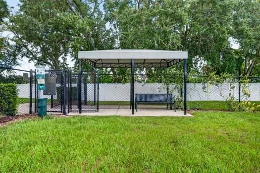 6119 SHINER STREET Land O Lakes, FL 34638