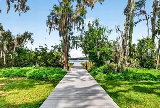 6119 SHINER STREET Land O Lakes, FL 34638