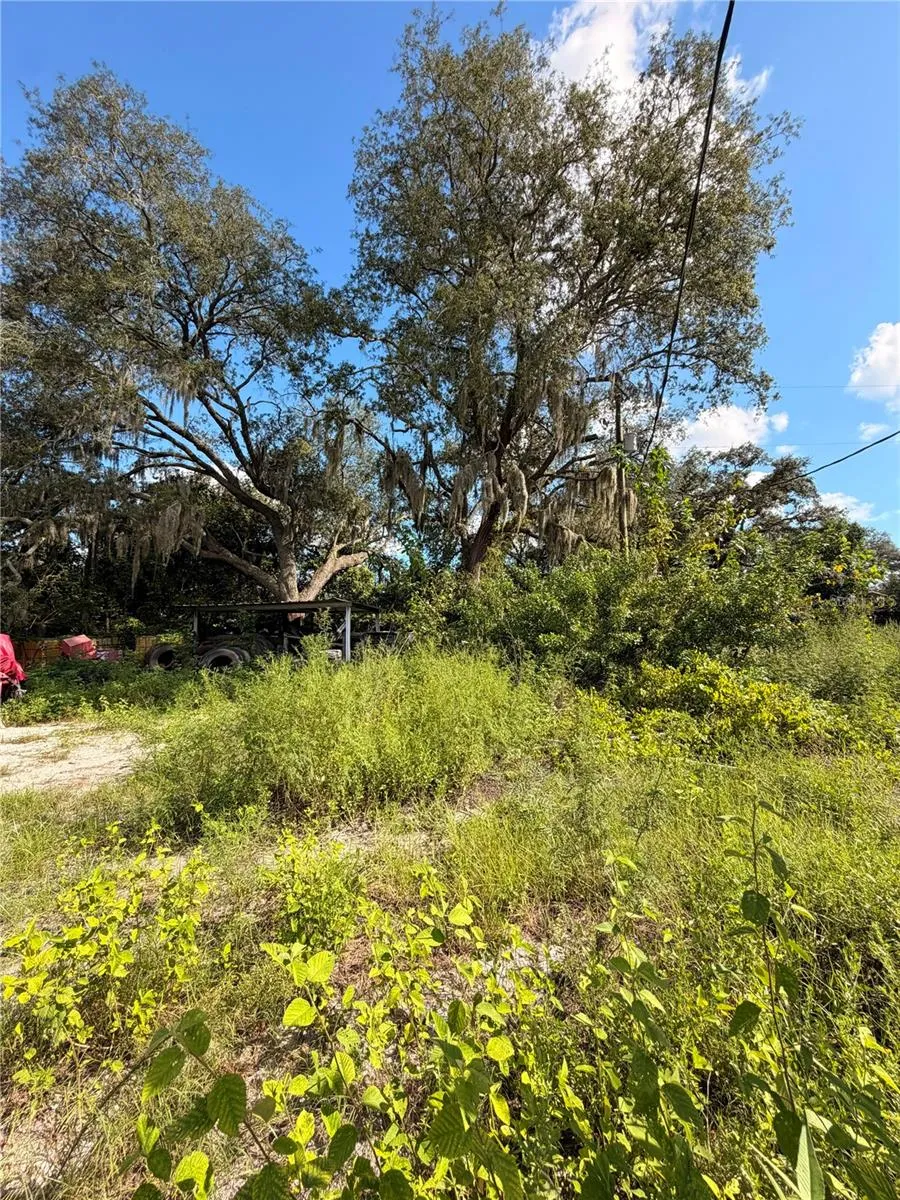 11665 TIMBER RIDGE DRIVE Tampa, FL 33625