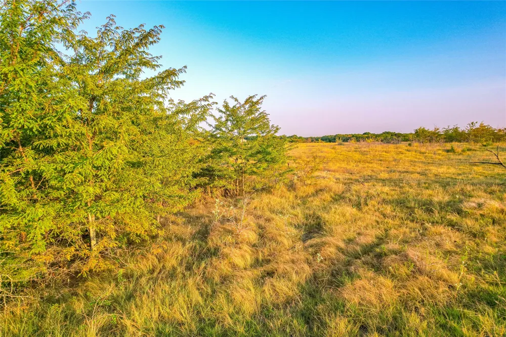 CR 613 Farmersville, TX 75442
