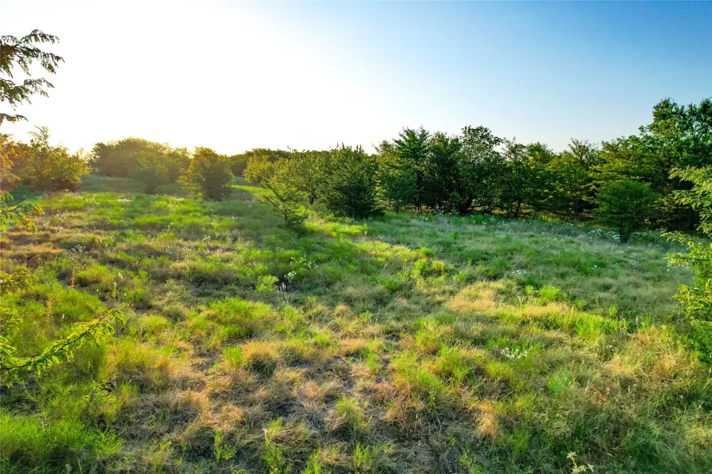 CR 613 Farmersville, TX 75442