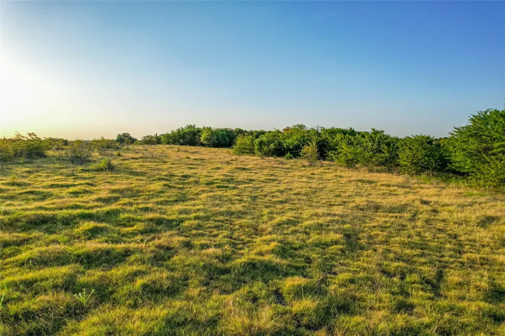 CR 613 Farmersville, TX 75442