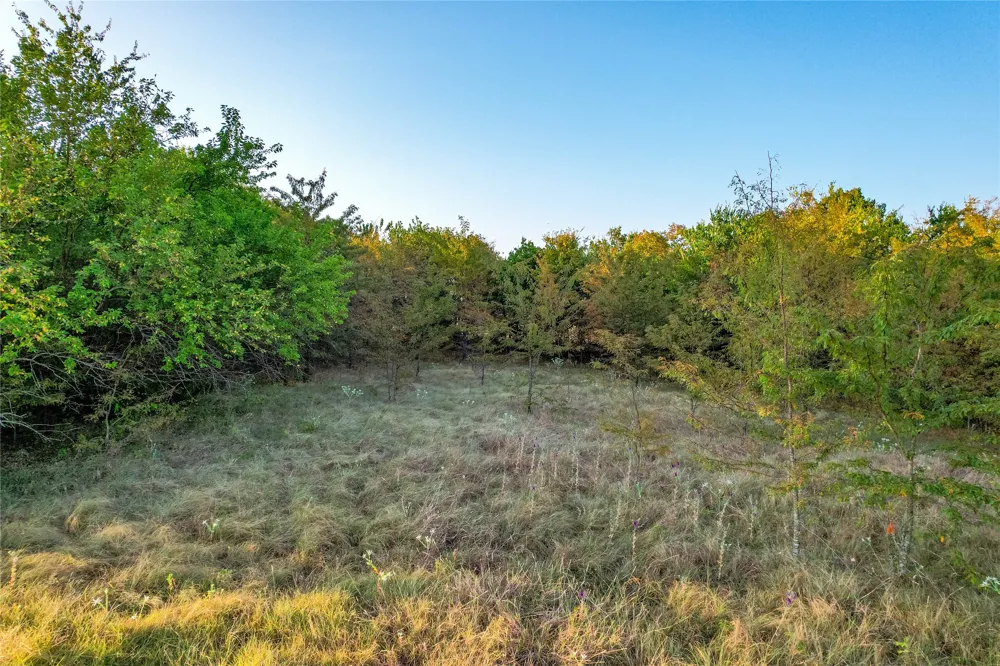 CR 613 Farmersville, TX 75442