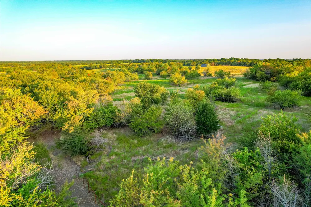 CR 613 Farmersville, TX 75442