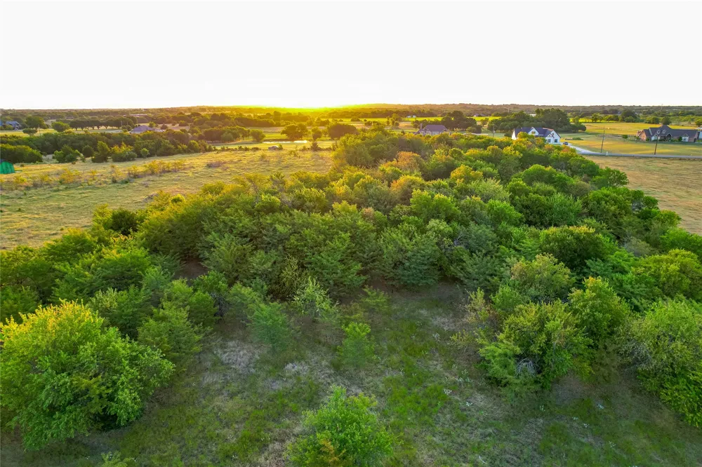 CR 613 Farmersville, TX 75442