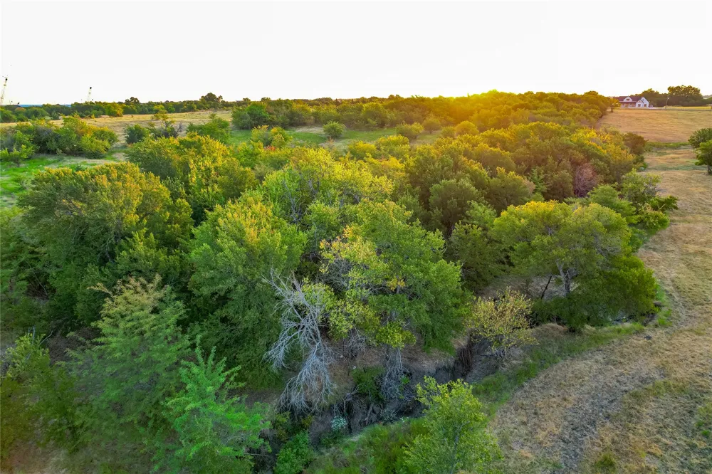 CR 613 Farmersville, TX 75442