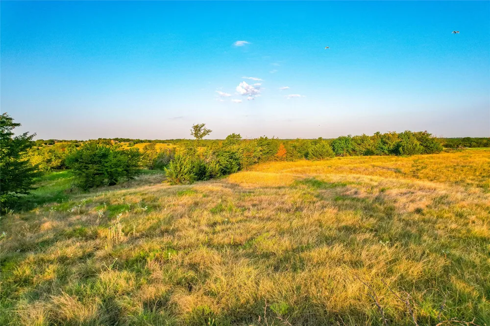 CR 613 Farmersville, TX 75442