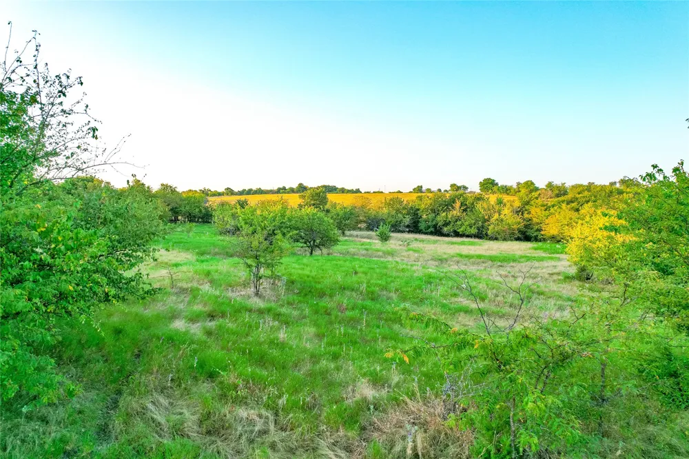 CR 613 Farmersville, TX 75442