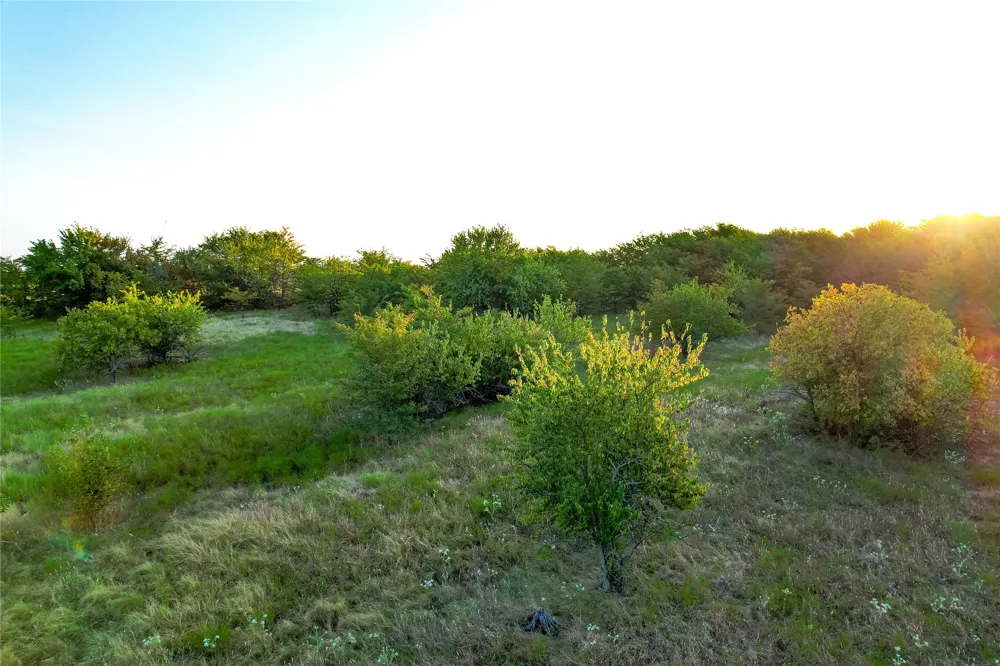 CR 613 Farmersville, TX 75442