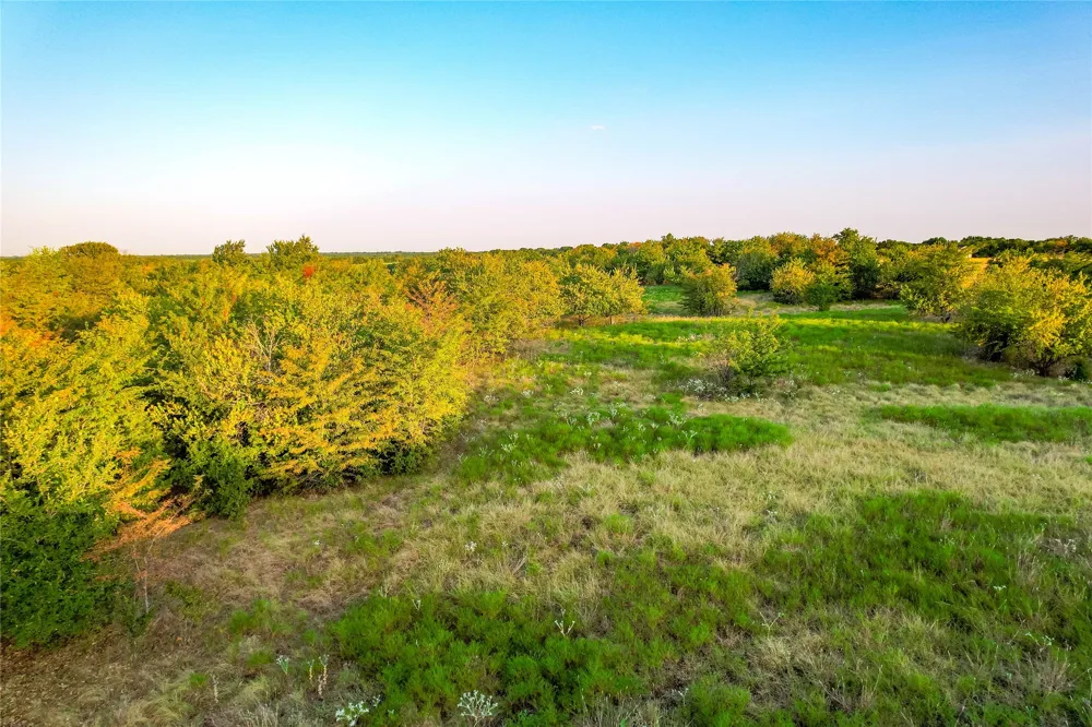CR 613 Farmersville, TX 75442