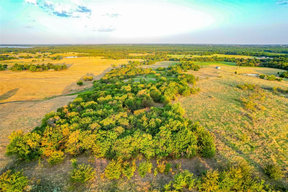CR 613 Farmersville, TX 75442