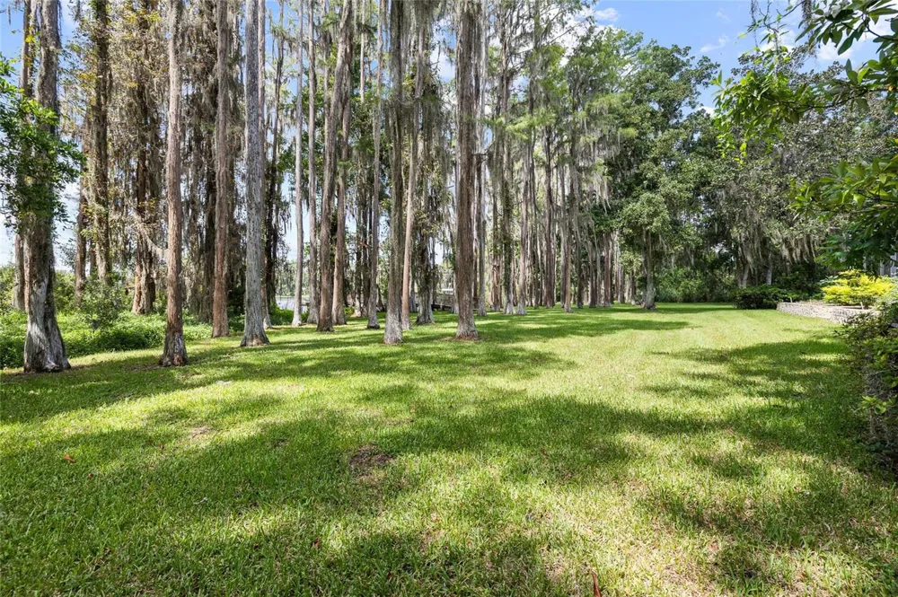 6800 WISTERIA LOOP Land O Lakes, FL 34638