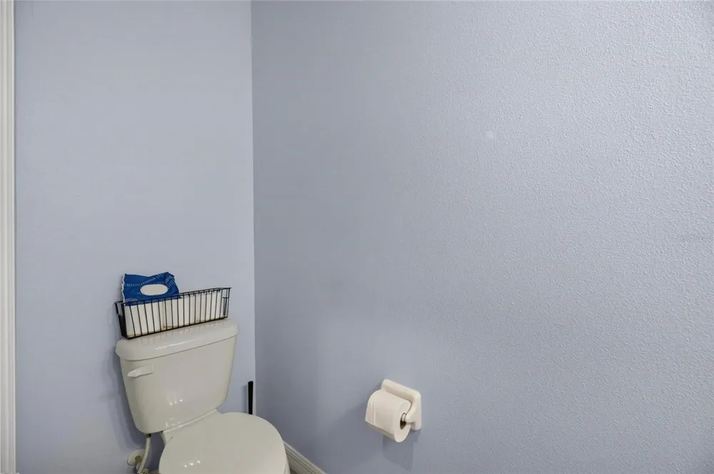 8669 FALLING BLUE PLACE Riverview, FL 33578