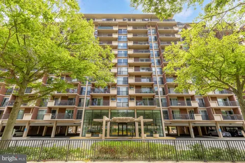 1300 ARMY NAVY DRIVE #503