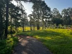 423 SW ALDERENE PARK WAY Madison, FL 32340