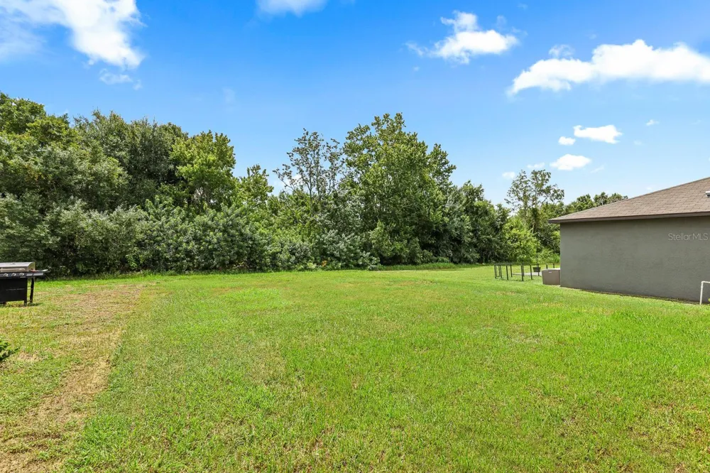 5552 BLUE AZURE DRIVE Wimauma, FL 33598