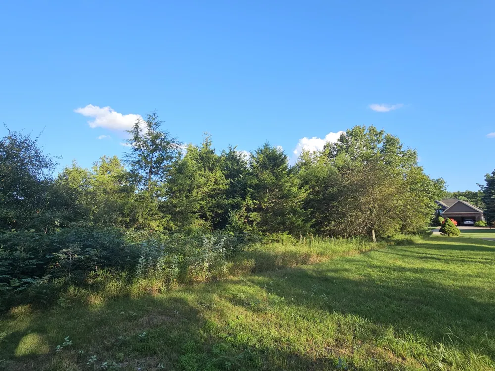 Cannes Drive Brooklyn, MI 49230