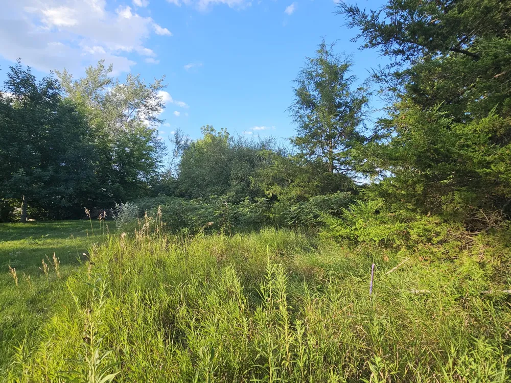 Cannes Drive Brooklyn, MI 49230