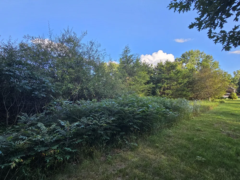 Cannes Drive Brooklyn, MI 49230