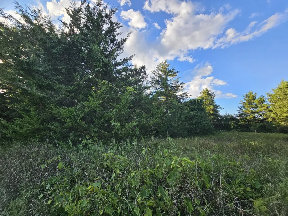 Cannes Drive Brooklyn, MI 49230