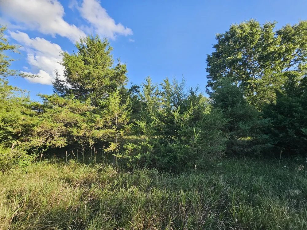 Cannes Drive Brooklyn, MI 49230