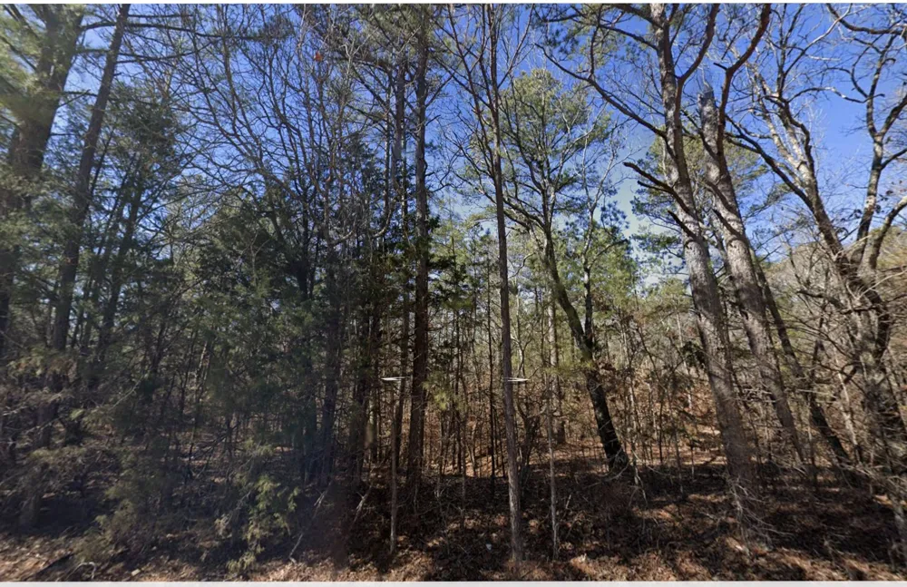 0 Bethesda Purdy Road Selmer, TN 38375