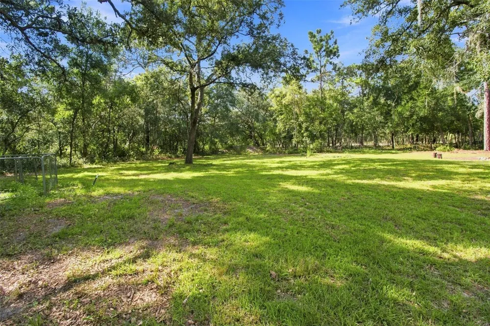 7059 JUNIPER AVENUE Webster, FL 33597