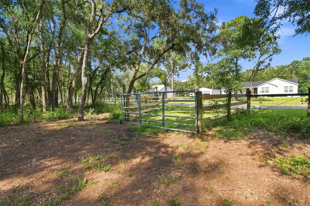 7059 JUNIPER AVENUE Webster, FL 33597