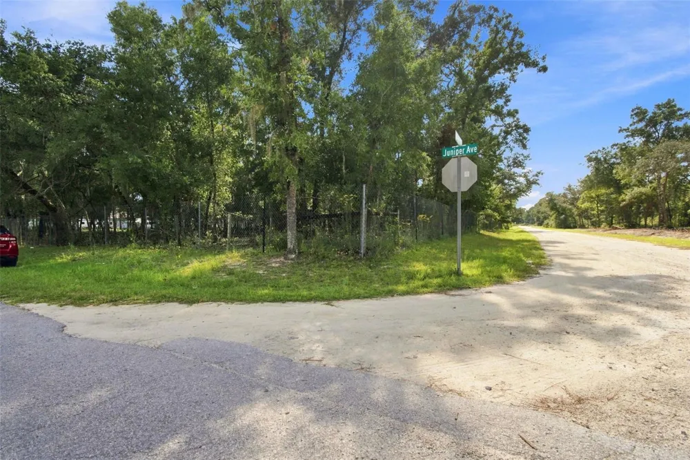 7059 JUNIPER AVENUE Webster, FL 33597