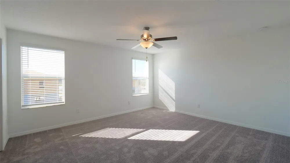 10069 BRANCHING SHIP TRACE Wesley Chapel, FL 33545
