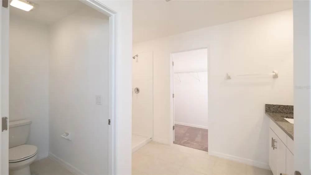 10069 BRANCHING SHIP TRACE Wesley Chapel, FL 33545