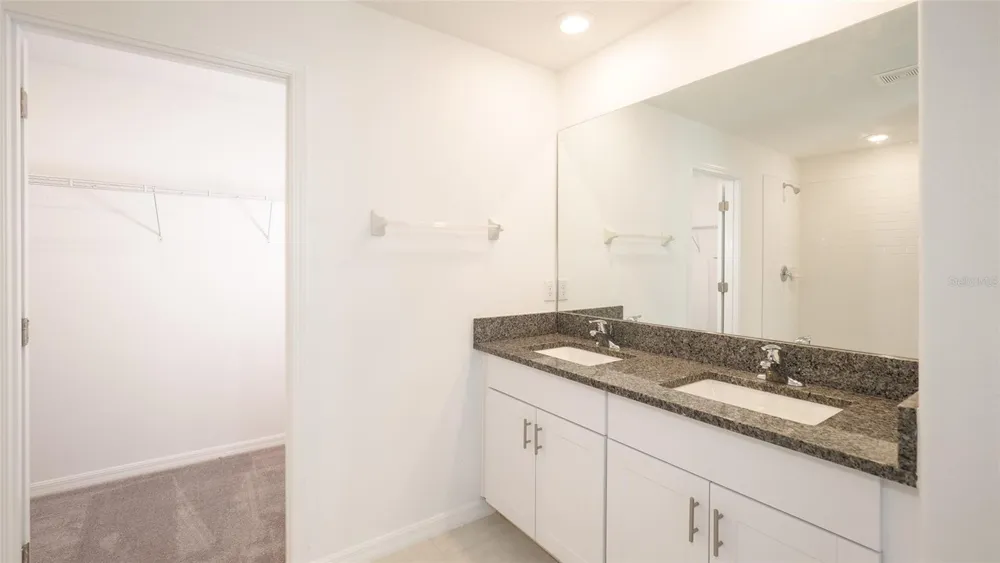 10069 BRANCHING SHIP TRACE Wesley Chapel, FL 33545