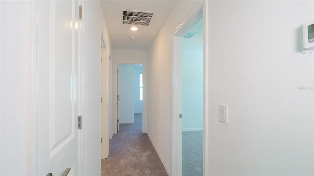 10069 BRANCHING SHIP TRACE Wesley Chapel, FL 33545