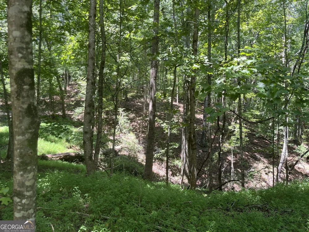 0 S Twin Oaks DR Ellijay, GA 30540