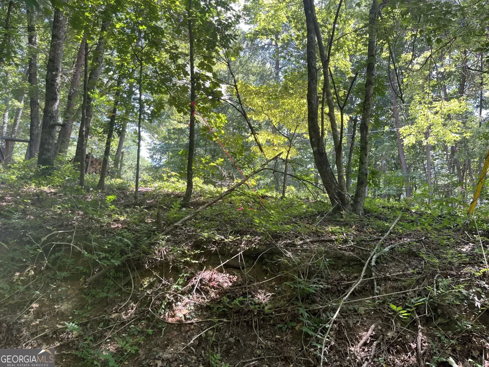 0 S Twin Oaks DR Ellijay, GA 30540