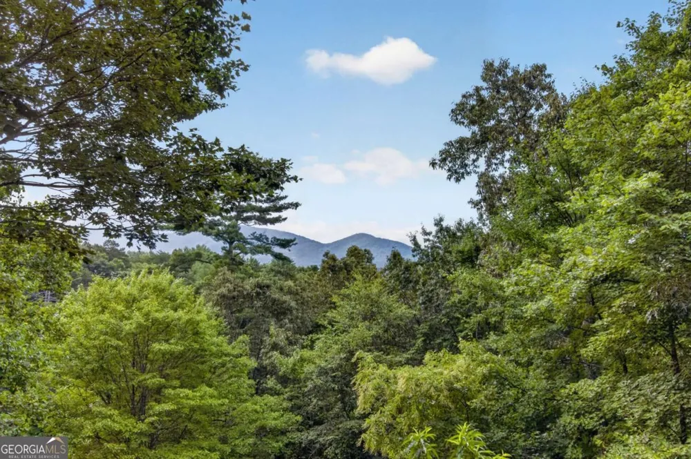 293 Weoka CT Ellijay, GA 30540