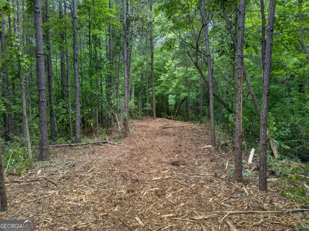 3512 Vinson Mountain RD Rockmart, GA 30153