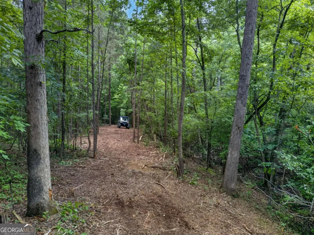 3512 Vinson Mountain RD Rockmart, GA 30153