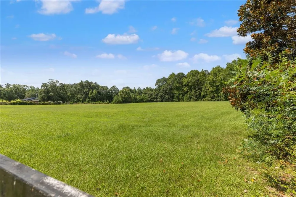 1064 Chappell Mill Road Milner, GA 30257