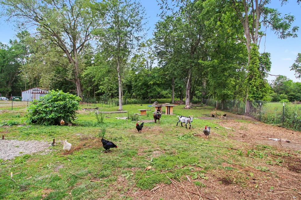 13510 Martinsville Road Belleville, MI 48111