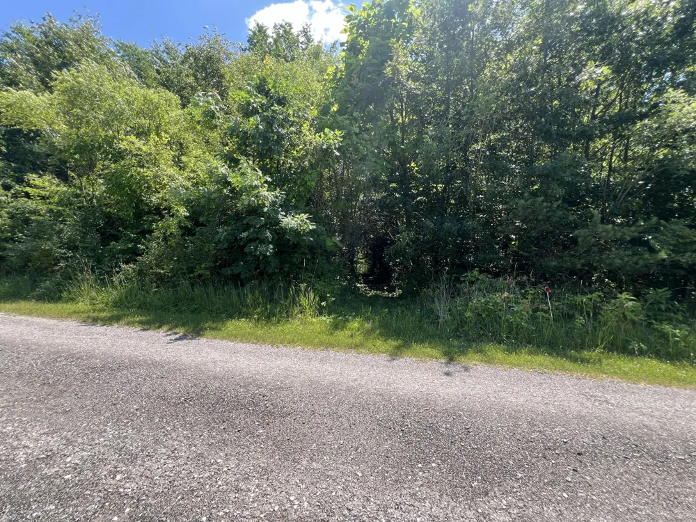 69535 Turkey Trail Drive Niles, MI 49120