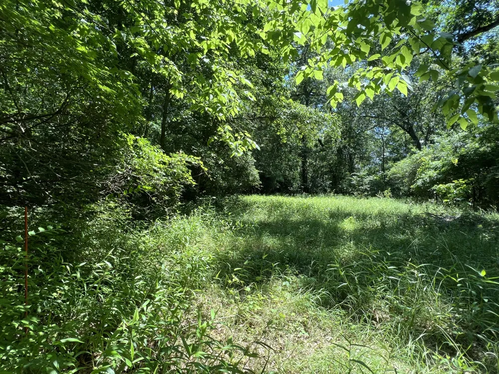 69535 Turkey Trail Drive Niles, MI 49120