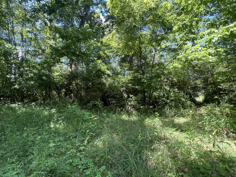 69535 Turkey Trail Drive Niles, MI 49120
