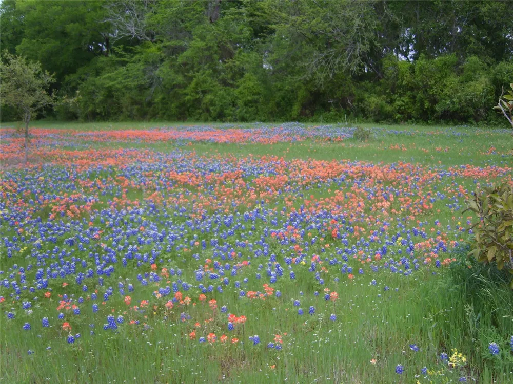800 Archie Lane Belton, TX 76513