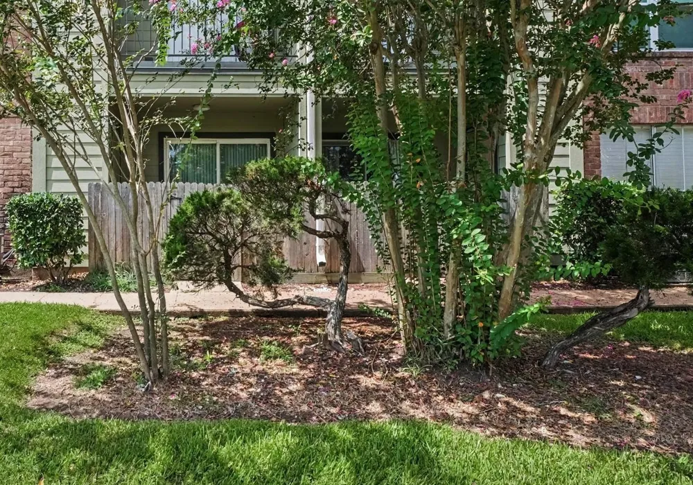 18800 Egret Bay Boulevard #1603 Webster, TX 77058