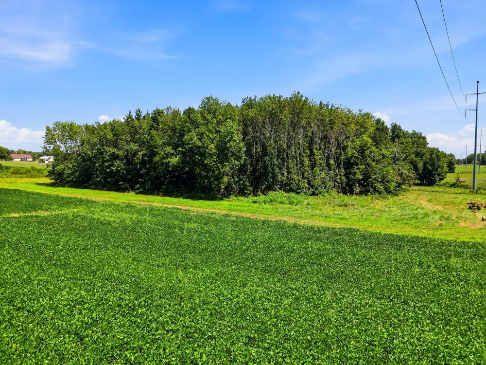 282 Highway 259 Portland, TN 37148