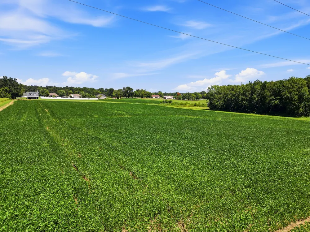 282 Highway 259 Portland, TN 37148