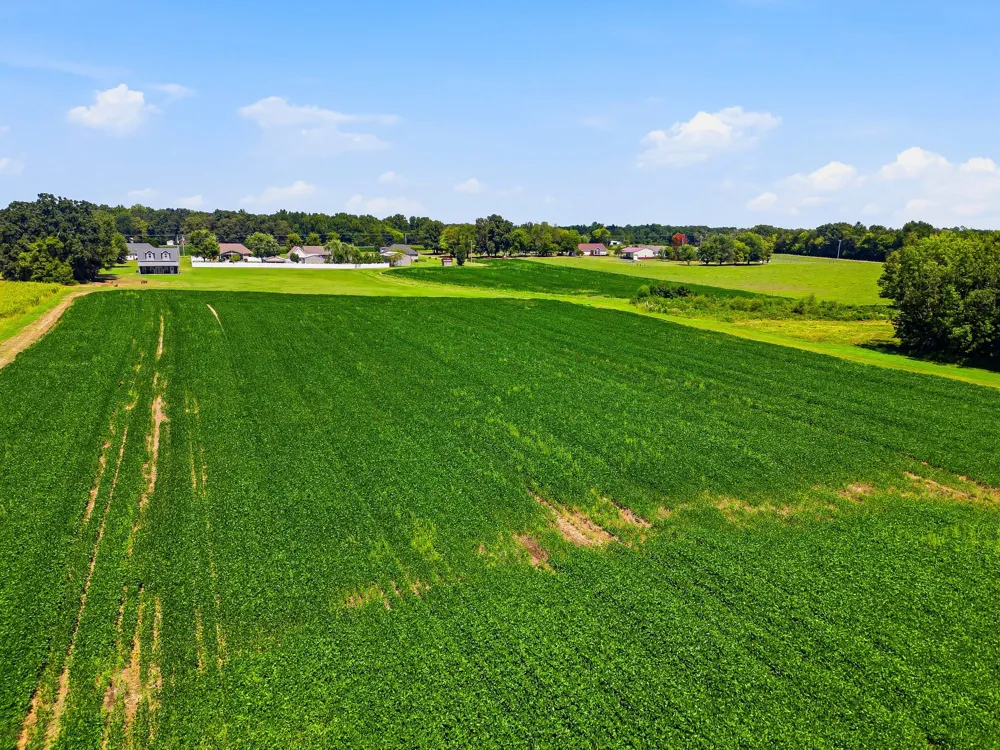 282 Highway 259 Portland, TN 37148